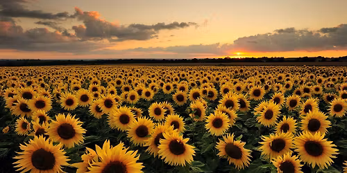 'SOFTENING INTO SUMMER' SOUND BATH EXPERIENCE (Glossop)