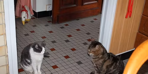 March\u00e9 de No\u00ebl