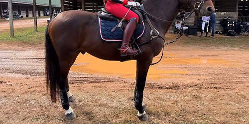 Red Fox Equestrian May 10 2026 Mini Trial