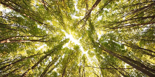 Tanuld meg a Touch for Health alapjait \u2013 szeretetteljes, gyakorlatorient\u00e1lt tanfolyam Budapesten, ja