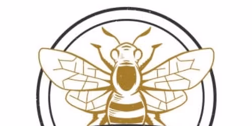 Honey Bee Womens Bible Study Breakout  