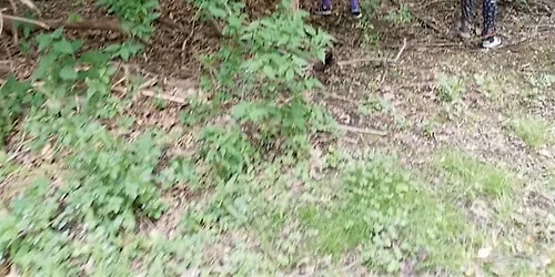 H.E.R.O. Nature Healing Walk