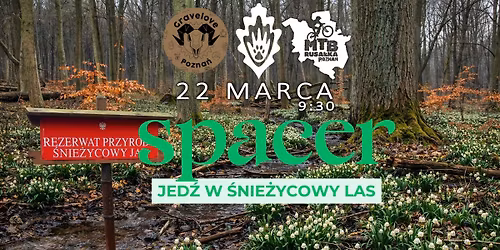 Jed\u017a w \u015anie\u017cycowy Jar 22 marca