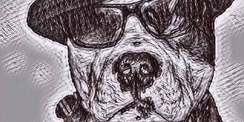 Ask The Dog  @ The Hantone Restaurant & Bar