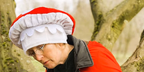 Professor Toadstool & The Missing Red Squirrel