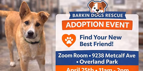 Barkin Dogs Rescue Adoption Event Zoom Room Metcalf 