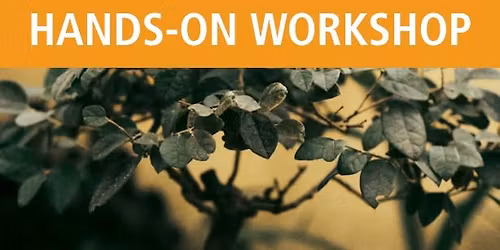 Bonsai for Beginners