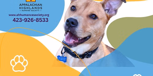 PetSmart Adoption Event