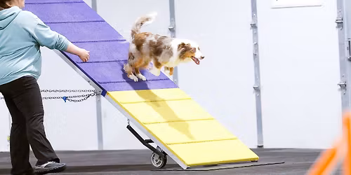 Red River North Dog Obedience Club May Agility Trials