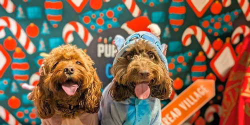 Birmingham - Dashing Doodle Christmas Tour \ud83c\udf84