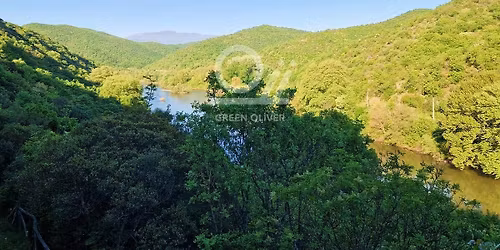 \u03a3\u0391\u0392. 07\/02: GREEN \u03a0\u0395\u0396\u039f\u03a0\u039f\u03a1\u0399\u0391 \u03a3\u03a4\u0391 \u03a3\u03a4\u0395\u039d\u0391 \u03a4\u03a3\u0399\u0393\u0393\u0391\u039d\u0391\u03a3!