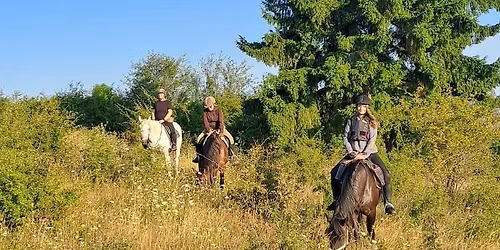 Drume\u021bie c\u0103lare de o zi