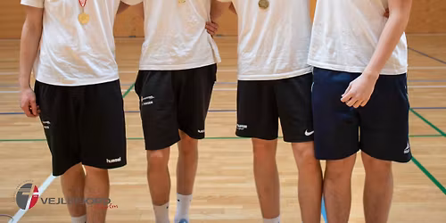 Internationalt fodboldst\u00e6vne p\u00e5 VFS 2026