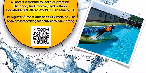 First Dock Diving Seminar of The Summer!