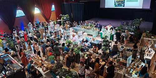 Holiday Plant Market