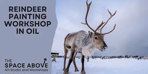 Reindeer - Oil Painting Workshop