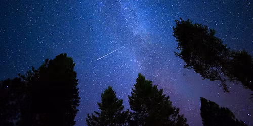 Party With the Stars