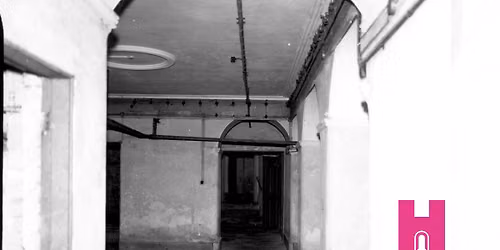 FREE below-stairs guided tour