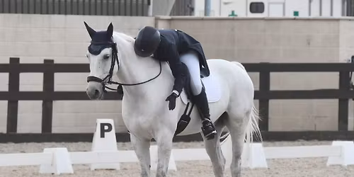 Unaffiliated EVENING Dressage - Intro to Elementary