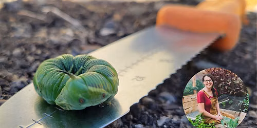Bugger Off! Organic Pest & Disease Control in the Veggie Garden