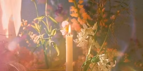 Root to Rise: A Spring Equinox Gathering