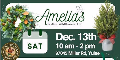 NATIVE PLANT SALE - LIVE TREES - 50% OFF PLANTS 