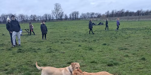 Labs & Goldens Social Session 