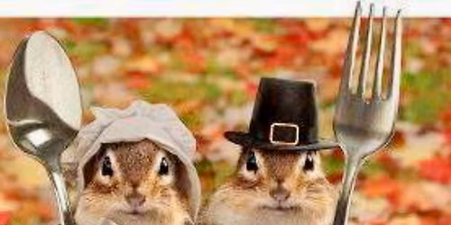 Thanksgiving Weekend at La Dolce Casa, Tamaqua 