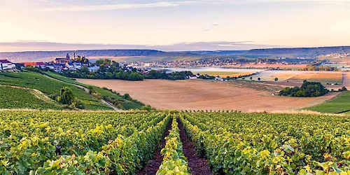 "Exploring French Wines" Wine Class & Dinner at Villa Barone!