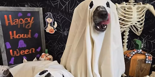 \ud83c\udf83Howl-O-Ween Pawty!!\ud83c\udf83