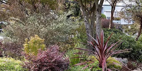 Introduction to Sustainable Gardening Series: Fall 2026