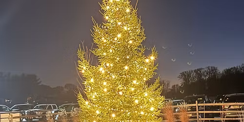 2nd Annual Bent Iron Tree Lighting 