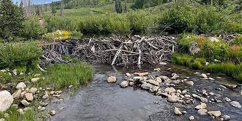 3-Day Overnight Camping: Currant Creek (Ride with Zoo)