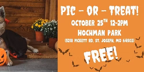 Pic-Or-Treat - Halloween Pet Portraits