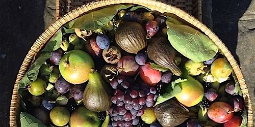 Autumnal Fruits at Halstead Hill Farm