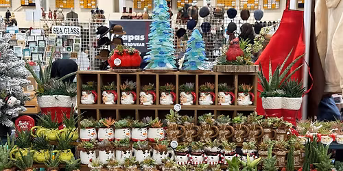 Depasquale Holiday Craft Show- Northport Highschool - Featuring My Succulent Shop 2 day event 13\/14