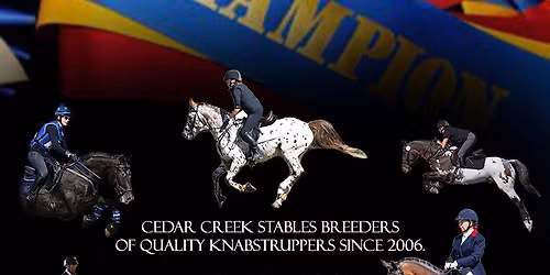 Young Horse Trainers Clinic with Jim Koford