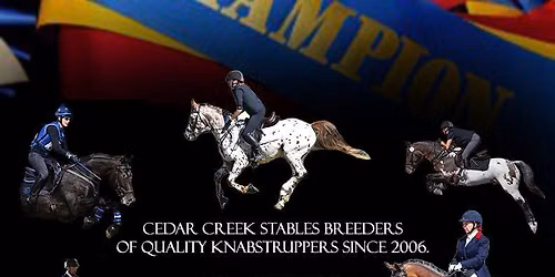 Young Horse Trainers Clinic with Jim Koford