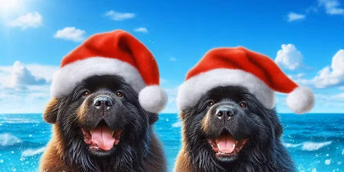 Club Christmas Party & Swim