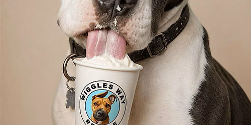 Wiggles Way Rescue @ BBW Takoma Cocoa Crawl