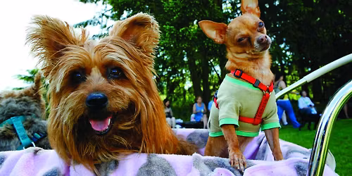 Auburn's Petpalooza 2026