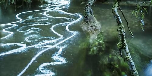 Songs of the Wild: Sam Lee live in Norwich