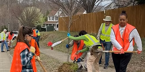 Tree Planting Riverside Drive in Fredericksburg, VA
