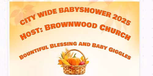 City Wide BabyShower