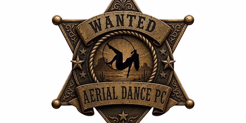 WANTED- An Aerial Student Showcase