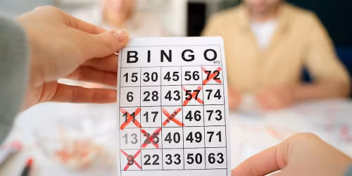 Lynn - Bingo