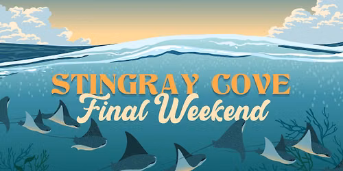 Stingray Cove Finale | Half-Price Zoo Admission