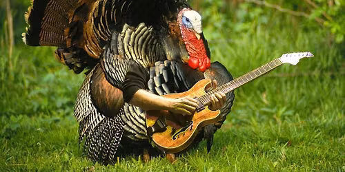 OEW Rocks Tako Tiki Turkey Eve