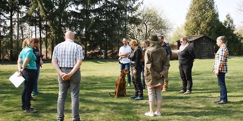 Zuchttauglichkeitspr\u00fcfung des RRC\u00d6