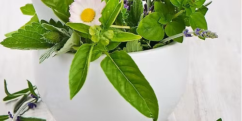 Kr\u00e4uterwerkstatt f\u00fcr Tiere